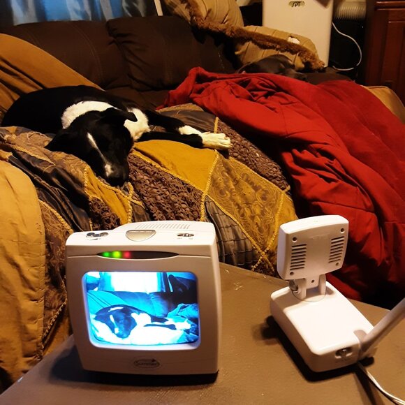 Summer Infant Day & Night B&W Video Monitor Set - Picture 4 of 8